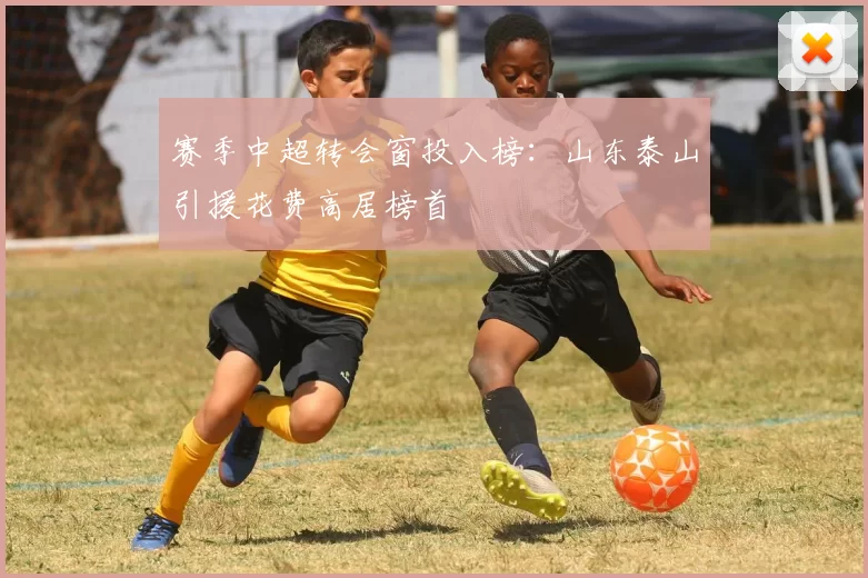 赛季中超转会窗投入榜：山东泰山引援花费高居榜首