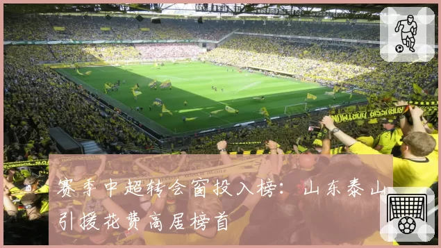 赛季中超转会窗投入榜：山东泰山引援花费高居榜首