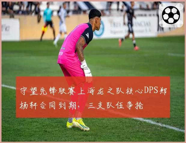 守望先锋联赛上海龙之队核心DPS郑杨轩合同到期，三支队伍争抢
